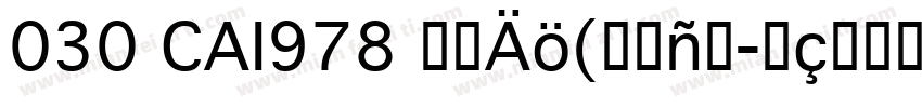 030 CAI978 普通(西方)字体转换